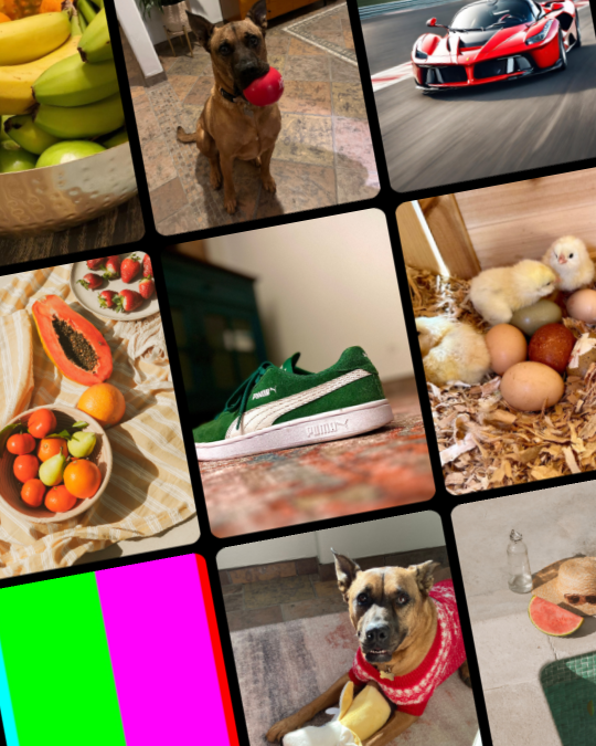 Homer Rivera - Developer